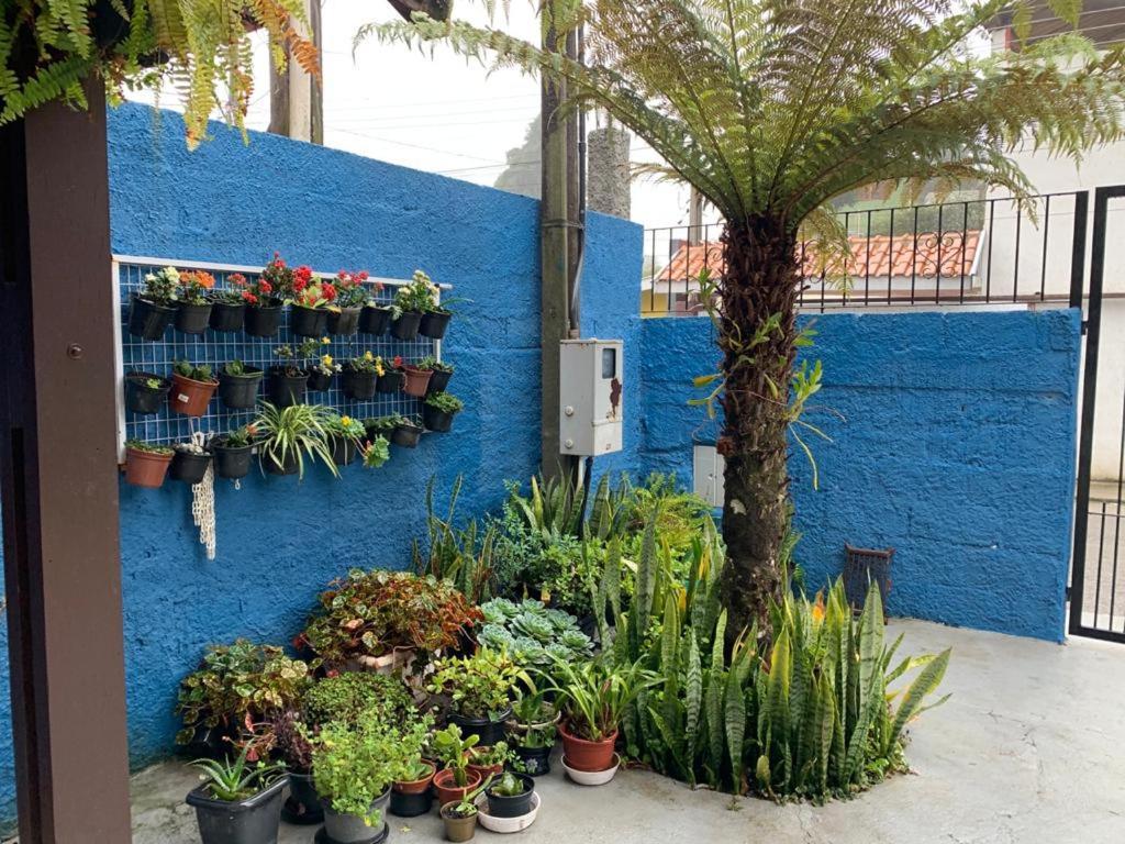 Casa Da Nidia Casa de férias Campos do Jordão